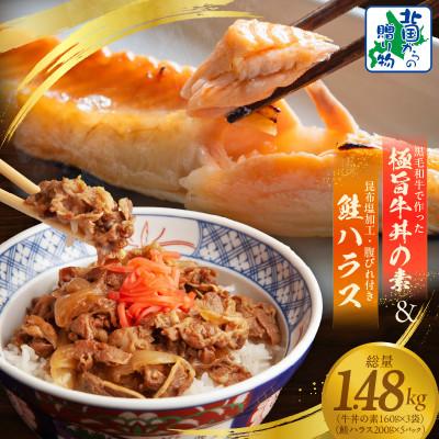 ふるさと納税 泉佐野市 黒毛和牛で作った極旨牛丼の素 160g×3袋 &amp; 訳あり鮭ハラス 200g×5P 099H3437