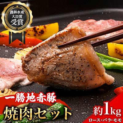 ふるさと納税 球磨村 農林水産大臣賞受賞 一勝地 赤豚 焼肉セット 計約1kg[淋種豚場]FKP9-137var