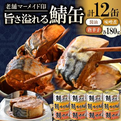 ふるさと納税 小浜市 [のし付]鯖缶詰12缶 B(醤油・唐辛子・味噌煮)180g×12缶 肉厚!ジューシーな贅沢さば缶