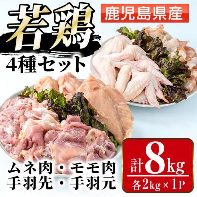 ふるさと納税 出水市 まつぼっくり 鹿児島県産若鶏4種セット8kg_I1097(出水市)