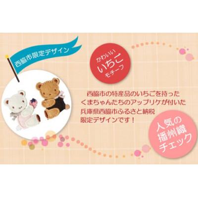 ふるさと納税 西脇市 【ふるさと納税限定・西脇市】ファミリア(familiar)ショルダーバッグ　黒系チェック(XS) |  | 02