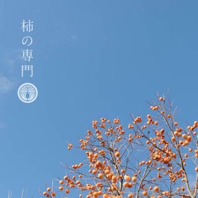ふるさと納税 五條市 【奈良県五條市】干し柿ごろごろ柿プリン12個入 K15の画像
