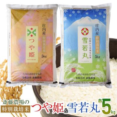 ふるさと納税 鶴岡市 [令和7年産]斎藤農場の特別栽培米 つや姫・雪若丸 各5kg [K-7117]