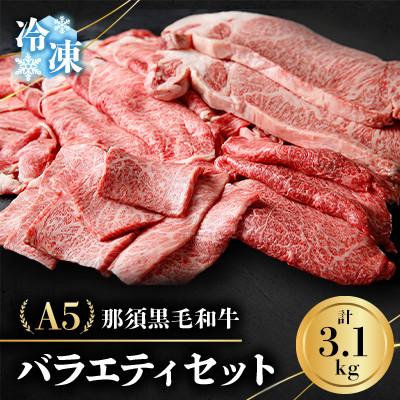 ふるさと納税 那須町 [冷凍]A5那須黒毛和牛 バラエティセット[計3.1kg] (H-2)