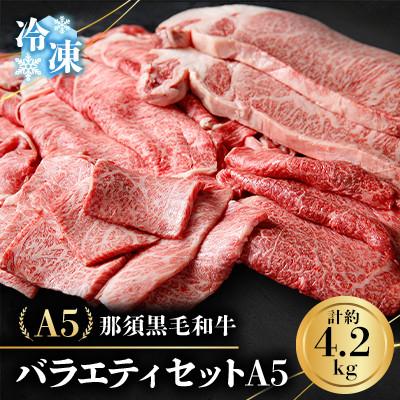 ふるさと納税 那須町 [冷凍]A5那須黒毛和牛 バラエティセット[計4.2kg] (I-2)