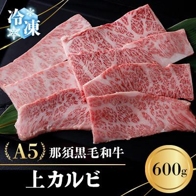 ふるさと納税 那須町 [冷凍]A5那須黒毛和牛 上カルビ 600g (D-3)