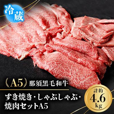 ふるさと納税 那須町 [冷蔵]A5那須黒毛和牛 すき焼きしゃぶしゃぶ・焼肉セット 4.6kg (I-1)