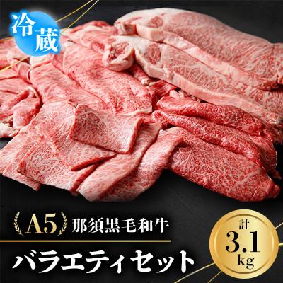 ふるさと納税 那須町 [冷蔵]A5那須黒毛和牛 バラエティセット[計3.1kg] (H-2)