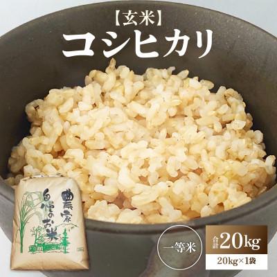 ふるさと納税 あわら市 [先行予約][令和8年産・新米]コシヒカリ 玄米 20kg