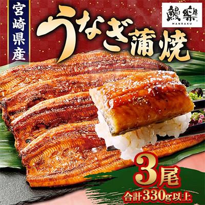 ふるさと納税 高鍋町 宮崎県高鍋町産うなぎ蒲焼3尾(計330g)鰻楽ブランド品
