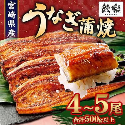 ふるさと納税 高鍋町 宮崎県高鍋町産うなぎ蒲焼4〜5尾(計500g〜600g)鰻楽ブランド品