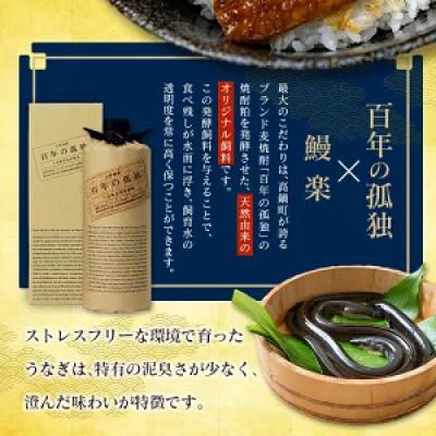 ふるさと納税 高鍋町 土用丑の日!国産うなぎ(国産 鰻) 4〜5尾(計500g〜600g)(高鍋町) |  | 01