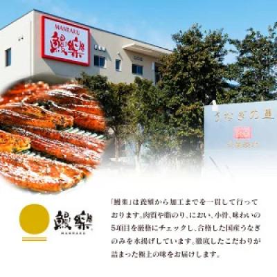 ふるさと納税 高鍋町 土用丑の日!国産うなぎ(国産 鰻) 4〜5尾(計500g〜600g)(高鍋町) |  | 03