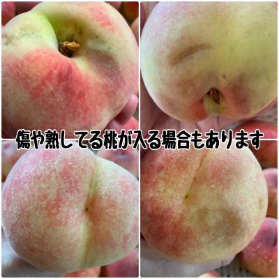 ふるさと納税 山梨市 【2026年発送】訳あり桃!3kg前後 ご家庭用 加工用に!の画像