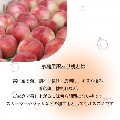 ふるさと納税 山梨市 【2026年発送】訳あり桃!3kg前後 ご家庭用 加工用に!の画像