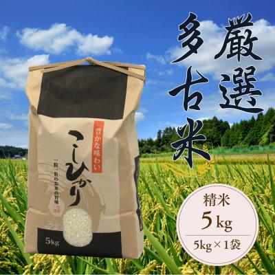 ふるさと納税 多古町 厳選多古米コシヒカリ 精米5kg 令和8年産