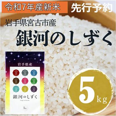 ふるさと納税 宮古市 [先行予約 12月より順次発送][令和7年産]岩手県産銀河のしずく 精米 5kg