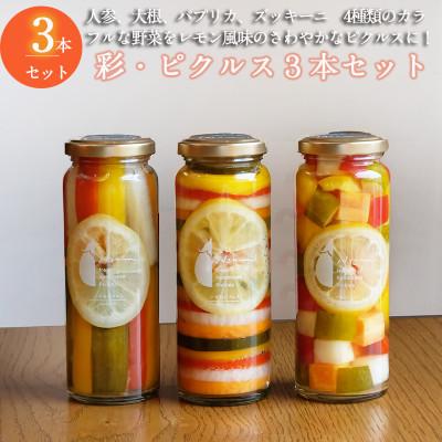ふるさと納税 泉佐野市 彩(いろどり)シリーズ ピクルス 3本セット いずみピクルス NSW 010B1708
