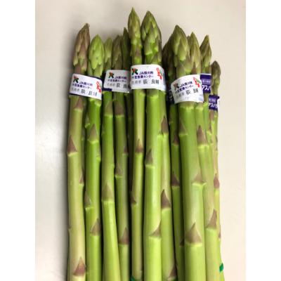 ふるさと納税 土庄町 アスパラガス「さぬきのめざめ」春芽 500g