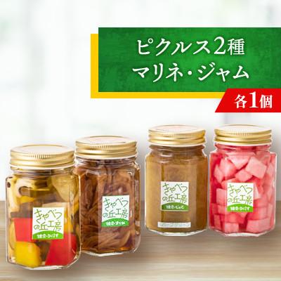 ふるさと納税 嬬恋村 ピクルス2種とマリネ・ジャムの詰め合わせ◆洋風惣菜セット