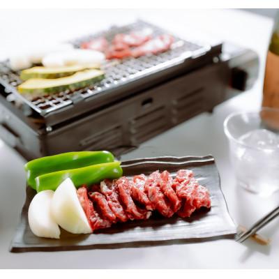 ふるさと納税 球磨村 [桜屋]馬肉焼肉用 500gカット済(球磨村)