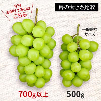 ふるさと納税 長野県 厳選!1房700g以上!長野県産 シャインマスカット2房 計1.4kg 秀品 |  | 01