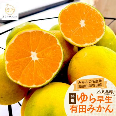 ふるさと納税 湯浅町 [先行受付・2026年10月発送]特撰 ゆら早生有田みかん 2kg