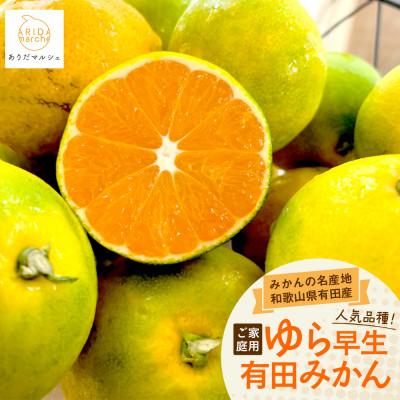 ふるさと納税 湯浅町 [先行受付・2026年10月発送]ご家庭用ゆら早生有田みかん 1kg+100g(傷み補償分)