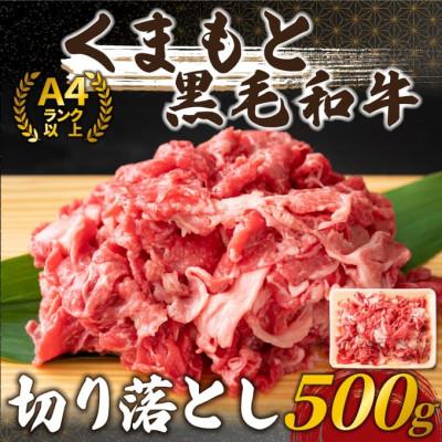 ふるさと納税 大津町 [A4〜A5]くまもと黒毛和牛 切り落とし 500g(大津町)