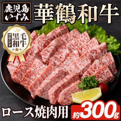 ふるさと納税 阿久根市 黒毛和牛肉!鹿児島いずみ 華鶴和牛 焼き肉用ロース約300g akn018-24(阿久根市)
