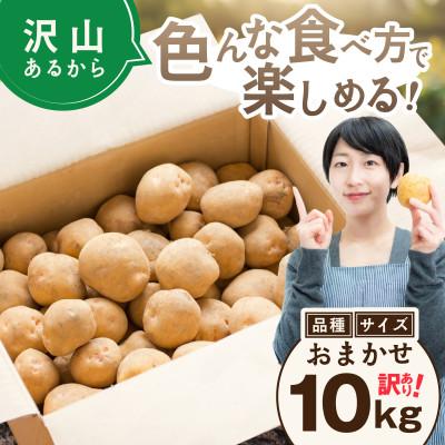 ふるさと納税 別海町 【先行受付】新じゃがいも10kg 北海道 訳