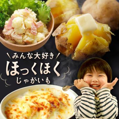 ふるさと納税 別海町 【先行受付】新じゃがいも10kg 北海道 訳あり おまかせ1種 きたあかり 男爵 など (野菜 |  | 02