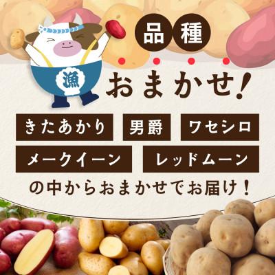 ふるさと納税 別海町 【先行受付】新じゃがいも10kg 北海道 訳あり