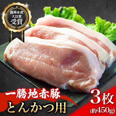 ふるさと納税 球磨村 農林水産大臣賞受賞 一勝地 赤豚 とんかつ用 3枚(約450g)[淋種豚場]FKP9-496