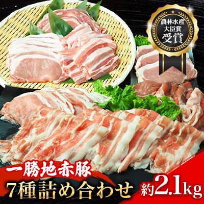 ふるさと納税 球磨村 農林水産大臣賞受賞 一勝地 赤豚 詰め合わせ 計2.1kg[淋種豚場]FKP9-139