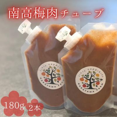 ふるさと納税 田辺市 南高梅肉チューブ 180g×2 [nak045-1]