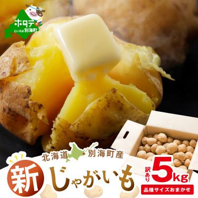 ふるさと納税 別海町 新じゃがいも5kg 北海道 訳あり おまかせ1種 きたあかり 男爵 など じゃがバターに合う