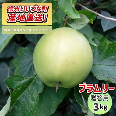 ふるさと納税 飯綱町 りんご ブラムリー 贈答用 9月中旬〜11月下旬発送予定 3kg