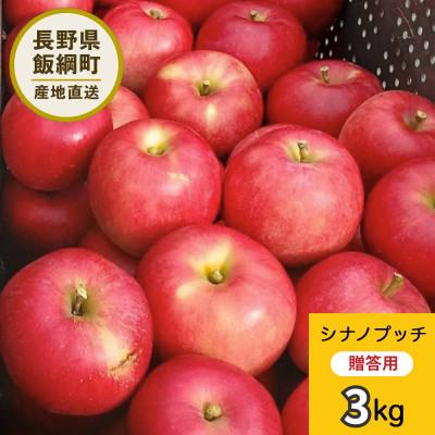 ふるさと納税 飯綱町 りんご シナノプッチ 贈答用 9月下旬〜10月中旬発送予定 3kg