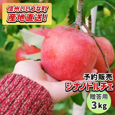 ふるさと納税 飯綱町 りんご シナノドルチェ 贈答用 9月下旬〜10月中旬発送予定 3kg