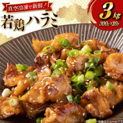 ふるさと納税 日向市 宮崎県産 若鶏 ハラミ 300g 10p 計3kg セット(日向市)