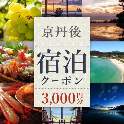ふるさと納税 京丹後市 [京都・京丹後市観光公社]京丹後宿泊クーポン 3,000円券×1枚 温泉旅行やカニ旅行 ギフトに
