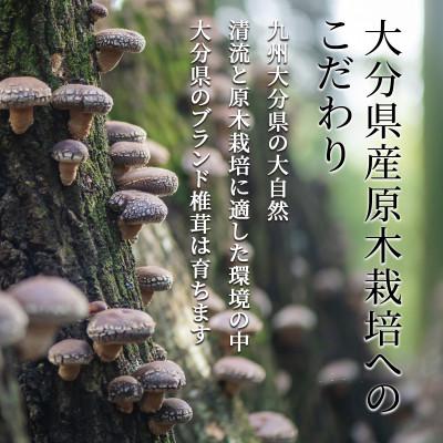 ふるさと納税 竹田市 大分県産原木栽培乾しいたけ 香信 560g(80g×7袋)
