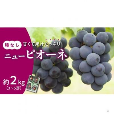 ふるさと納税 備前市 [2026年発送分 先行受付]岡山県産ニューピオーネ 秀品 約2kg(3〜5房程度)