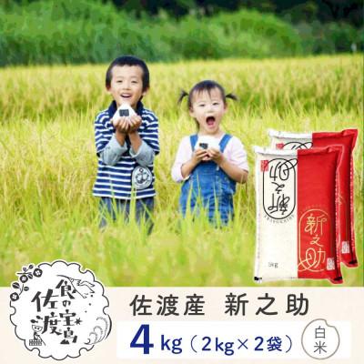 ふるさと納税 佐渡市 [新米予約]佐渡島産新之助 白米4Kg(2Kg×2袋) 令和7年
