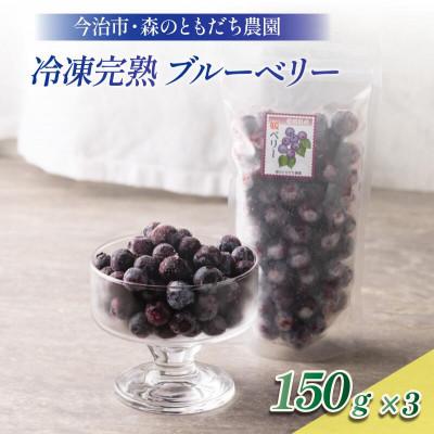 ふるさと納税 今治市 冷凍ブルーベリー(スタンディングパック)150g×3パック [VB00780]