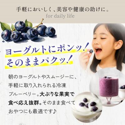 ふるさと納税 今治市 冷凍ブルーベリー(スタンディングパック)150g×3パック [VB00780] |  | 02