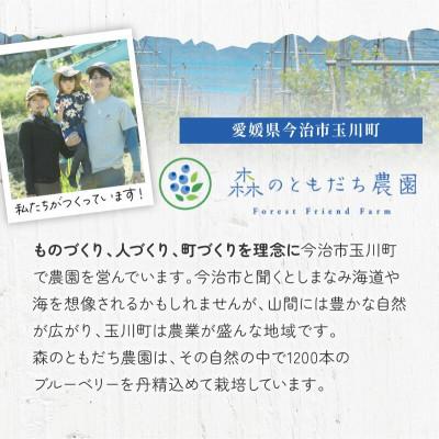 ふるさと納税 今治市 冷凍ブルーベリー(スタンディングパック)150g×3パック [VB00780] |  | 03