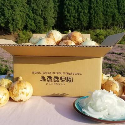 ふるさと納税 津奈木町 【先行受付】令和7年産 サラダたまねぎ10kg (令