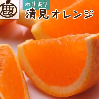 ふるさと納税 美浜町 家庭用 清見1kg+250g(傷み補償分)[光センサー選果][訳あり][樹上完熟きよみオレンジ]